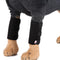 Protector de Pata para Perros - Soporte Ortopédico Ajustable