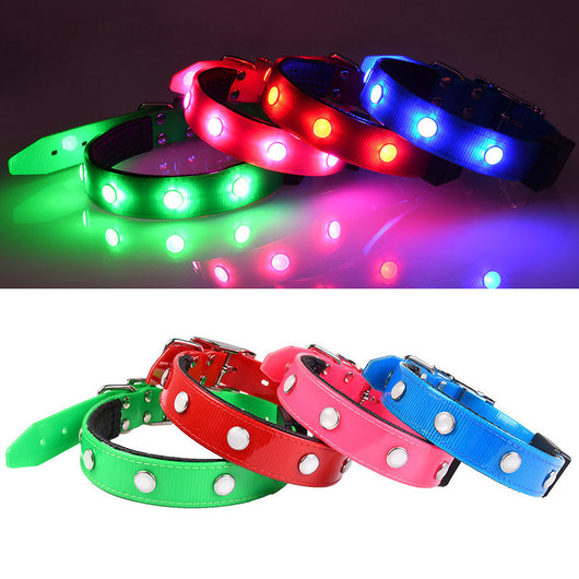 Collar Luminoso Impermeable Ajustable para Gatos y Perros