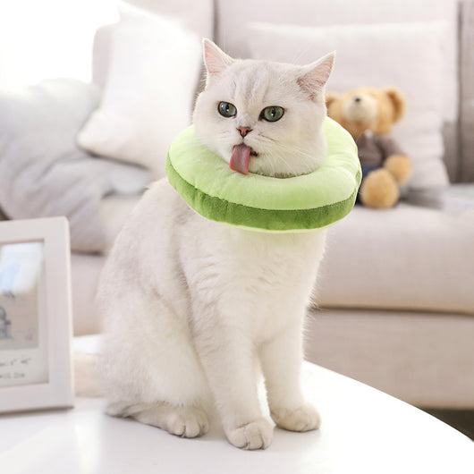 Diadema Gato Divertida para Mascotas - Accesorio Cómico - Image 10