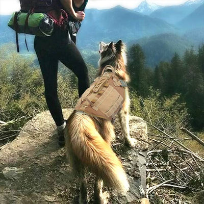 Arnés Táctico Profesional para Perros Grandes Malinois con Correa y Mochila de Entrenamiento - Image 7