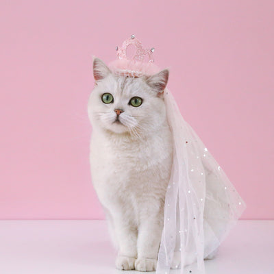 Corona Princesa para Gatos y Mascotas - Accesorio de Fiesta Elegante - Image 4