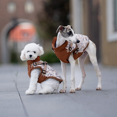 Abrigo Térmico para Perros - Chaleco Acolchado Invierno - Image 13