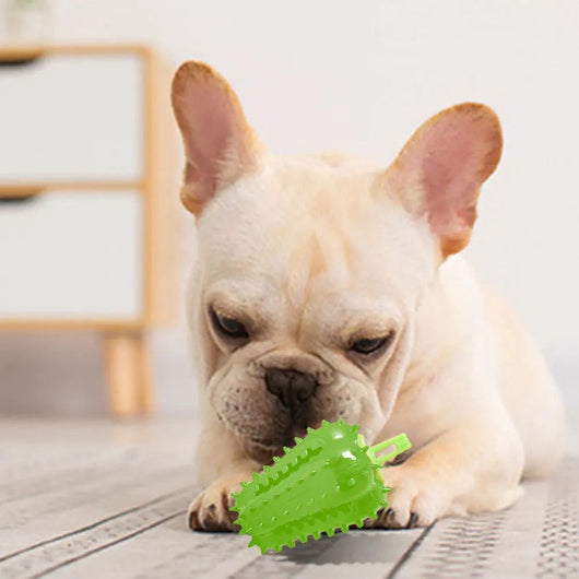 Juguete Interactivo para Dentición de Perros con Diseño de Chile - Image 14
