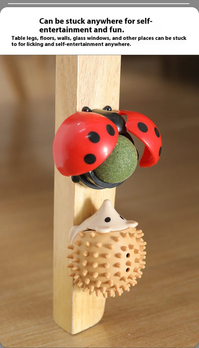 Pelota Interactiva Musical para Gatos con Catnip y Masaje Dental - Image 12
