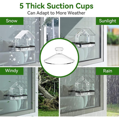 Transparent acrylic window bird feeder with a house-shaped roof and black perch, mounted with suction cups. - Image 4