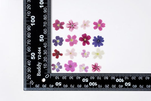 Marcapáginas con Flor de Cerezo Deshidratada - Accesorio Ornamental con Espécimen Botánico - Image 8