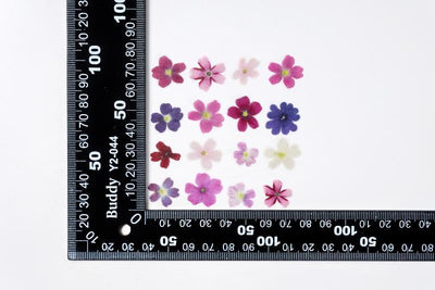 Marcapáginas con Flor de Cerezo Deshidratada - Accesorio Ornamental con Espécimen Botánico - Image 8