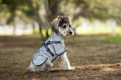 Impermeable para Perros Pequeños y Medianos con Arnés Integrado - Image 22