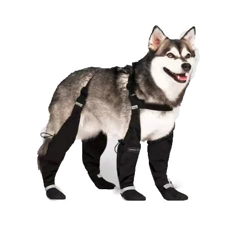 Botines Impermeables para Mascotas con Cinturón Elástico y Reflectivos