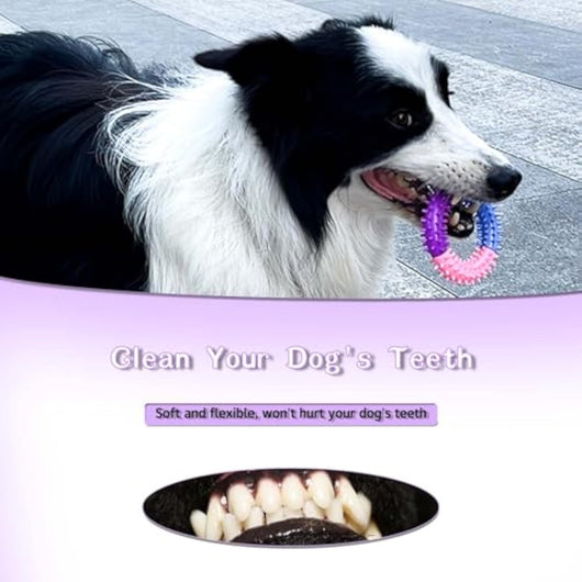 Juguete Masticable para Perros - Anillo de Goma para Dentición - Image 4