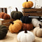 Almohada Decorativa Calabaza Nórdica Adorable