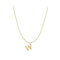 S925 sterling Plateado vintage 26 letter necklace W