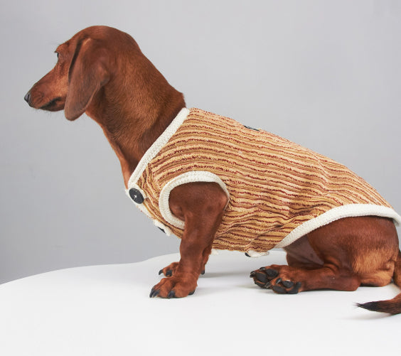 Sudadera Hoodie a Rayas para Perros Miniatura Yorkshire y Bichon