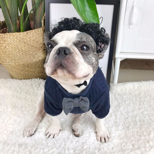 Suéter Trendy para Perros - Abrigo Elegante y Cómodo
