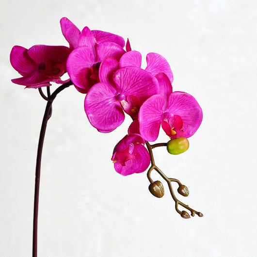 Orquídea Phalaenopsis Artificial de Piso - Flor Decorativa en Seda