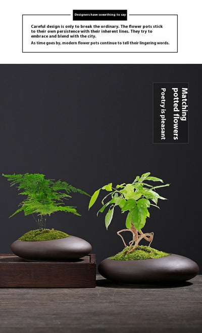 Maceta Retro Morada con Diseño de Arena y Plantas Verdes - Image 11