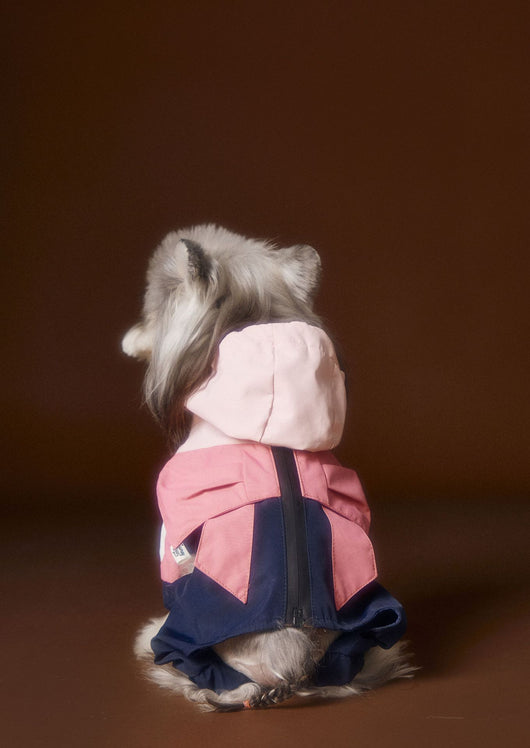 Ropa Deportiva para Perros Bichon Schnauzer con Arnés de Seguridad VIP - Image 21