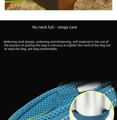 Peluche Antiestrangulamientos Mediano para Mascotas - Image 15