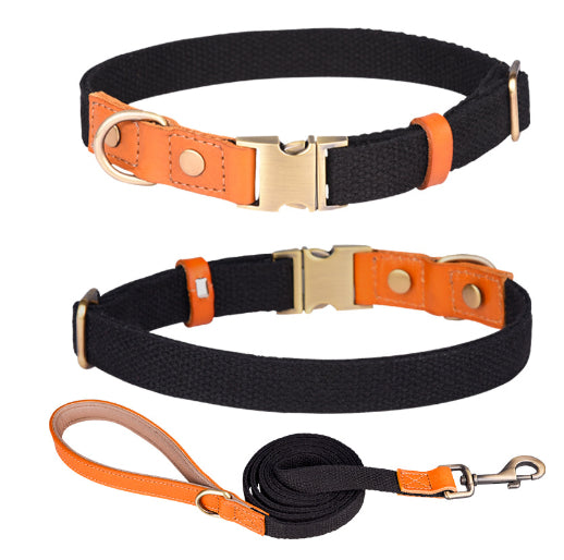 Collar de Cuero para Perros Anti-pérdida con Placa de Identificación - Image 18