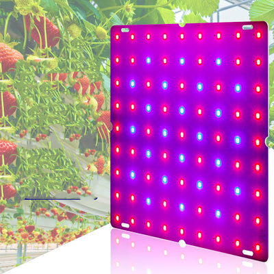 Luz de Cultivo LED para Frutas, Verduras y Melones - Sistema Colgante - Image 7