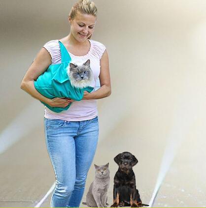 Woman holding a fluffy cat in a teal pet shoulder bag, with a gray cat and black puppy nearby. - Image 4