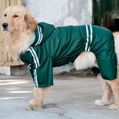 Impermeable para Perros Grandes y Medianos