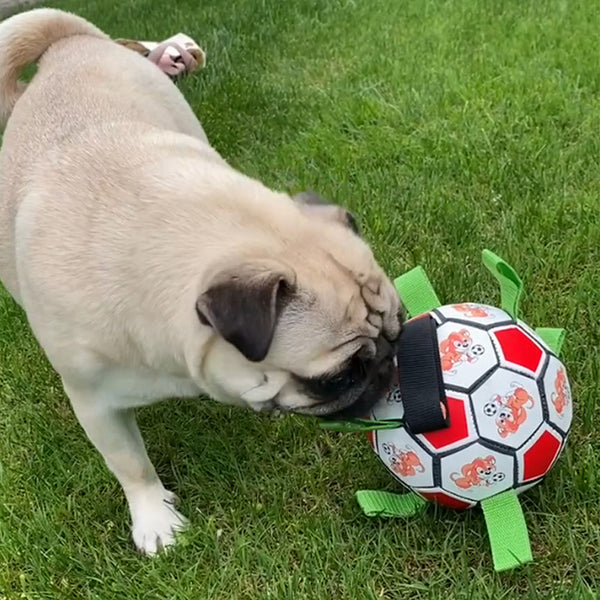 Red and white dog football toy with green fabric loops, featuring cartoon dogs playing with a soccer ball.
