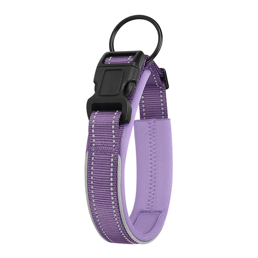 Collar Reflectante para Perros en Poliéster Resistente - Image 13