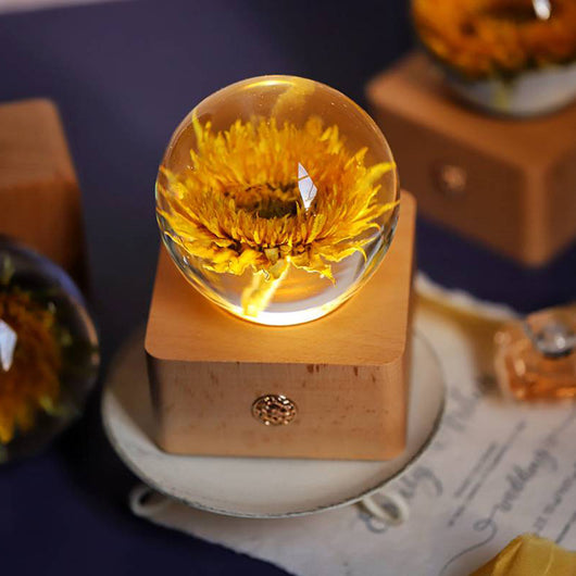 Luz Nocturna Girasol Flores Eternas - Regalo Navideño Decorativo