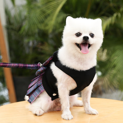 Arnés de Paseo JK para Perros y Gatos con Correa de Mano - Image 6