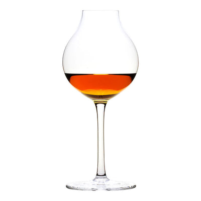 Copa Profesional para Cata de Aromas y Fragancias - Image 11