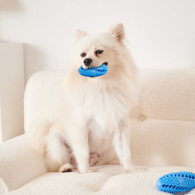 Pelota Interactiva Comedero para Perros - Juguete Dispensador de Alimento con Textura Masticable - Image 6
