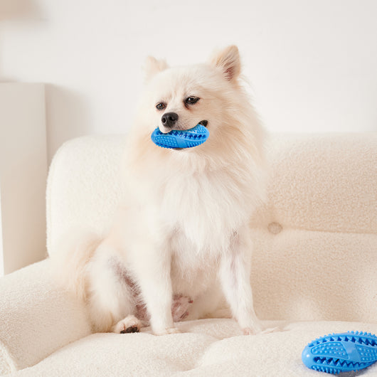 Pelota Interactiva Comedero para Perros - Juguete Dispensador de Alimento con Textura Masticable - Image 6