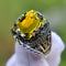 Anel de Luxo Masculino Jade, Único Vintage e Marcante Amarelo Código US6