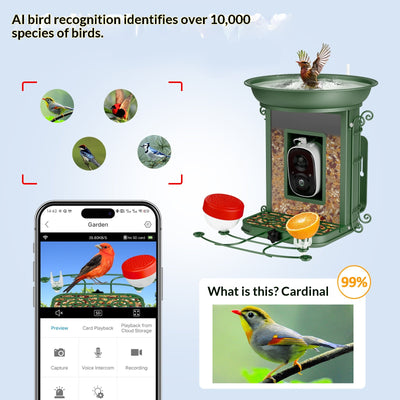 Comedero Inteligente para Aves con Energía Solar e IA - Image 8