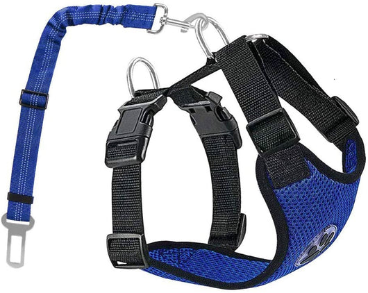 Cuerda Reflectante y Transpirable para Perros - Image 7