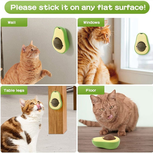 Juguete Interactivo de Aguacate con Catnip para Limpieza Dental Felina - Image 13