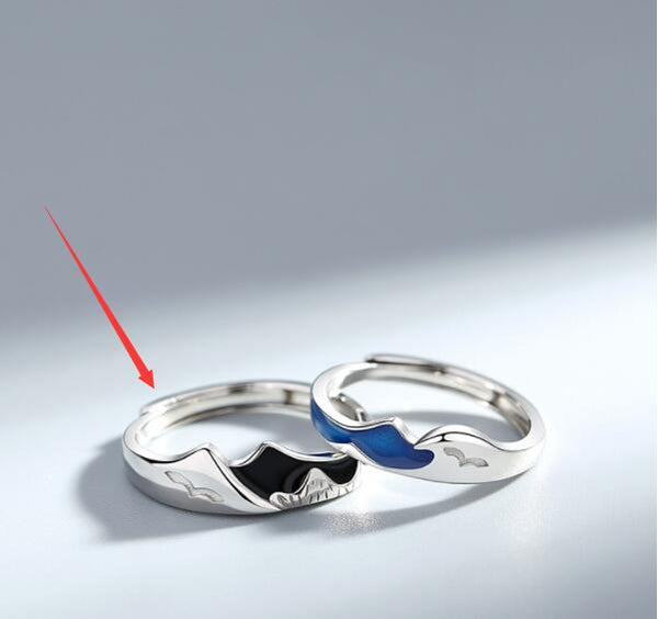 Anillos de Pareja en Plata Esterlina Shanmeng Eachother - Image 7