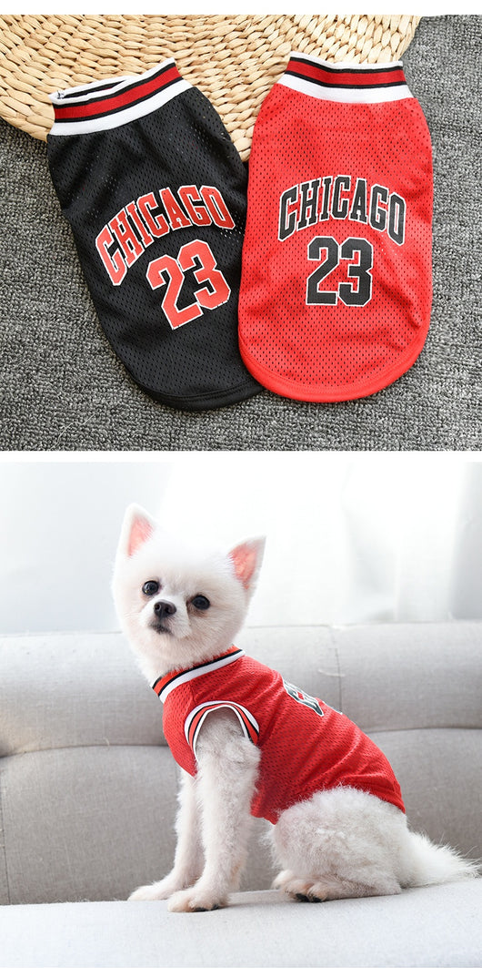Chaleco Deportivo de Malla para Perros Talla Grande - Ropa Fresca para Verano - Image 15
