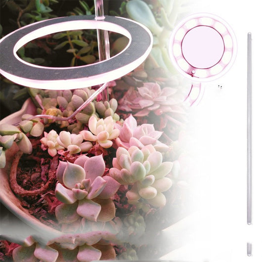 Lámpara LED de Espectro Completo para Plantas y Suculentas - Image 11