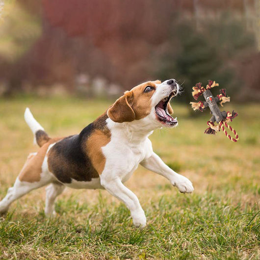 Juguete Resistente para Perros Grandes - Rama Natural con Cuerda TPR y Pelota - Image 3