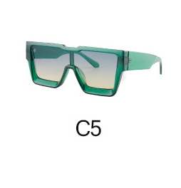 Gafas de Sol Personalizadas Montura Integral Trendy - Image 6