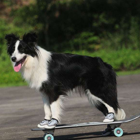 Zapatos Protectores para Perros Grandes - Resistentes y Transpirables