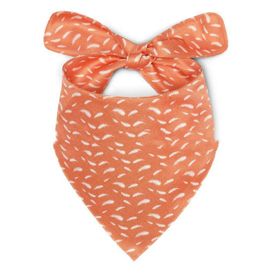 Babero Estampado para Perros Fashion Pet - Image 15