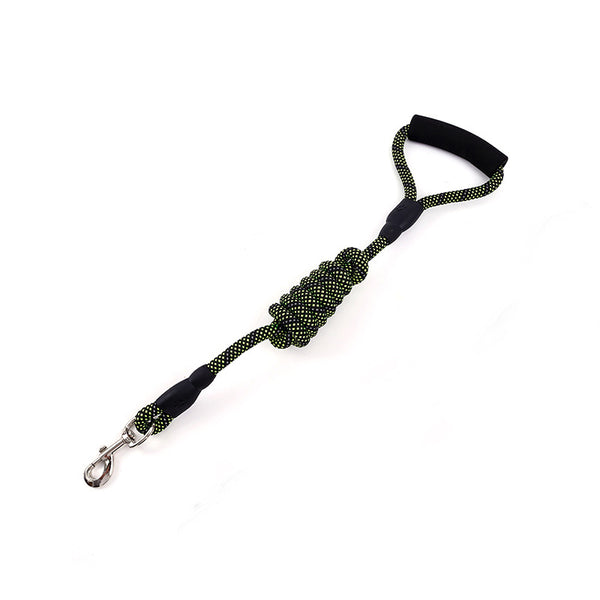 Correa de Tracción Dorada para Perros
