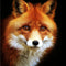 Pintura de Diamantes 5D Fox's