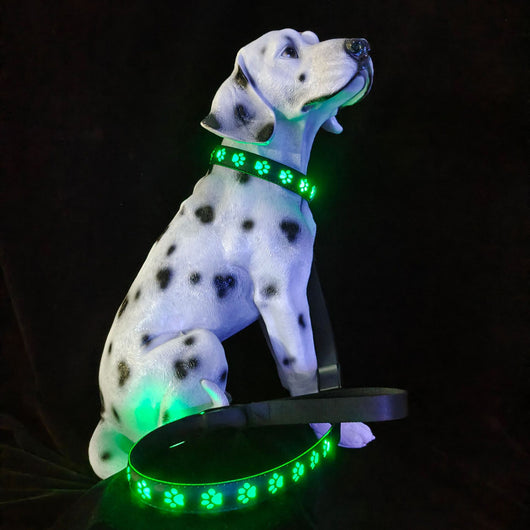 Collar LED Luminoso 7 Colores para Perros y Gatos con Carga USB - Image 4