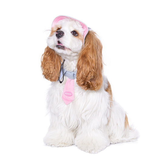 Toalla Absorbente para Perros Pequeños - Yorkshire, Bichón y Razas Toy - Image 8