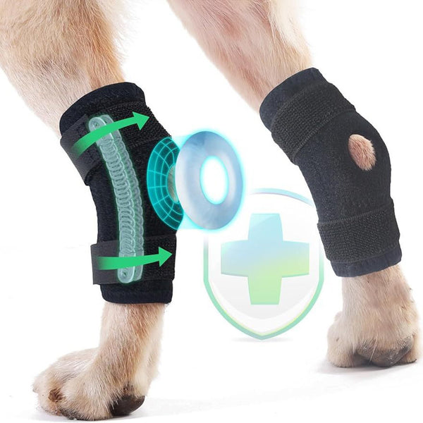 Arnés de Soporte para Patas Traseras en Perros