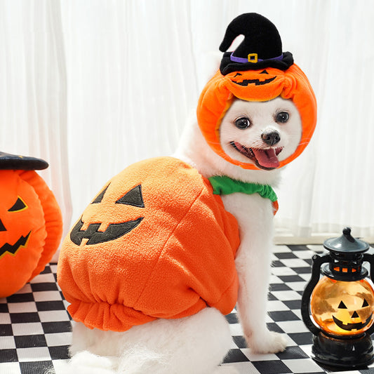 Disfraz de Calabaza para Perros y Gatos - Arnés Festivo para Mascotas Pequeñas - Image 2